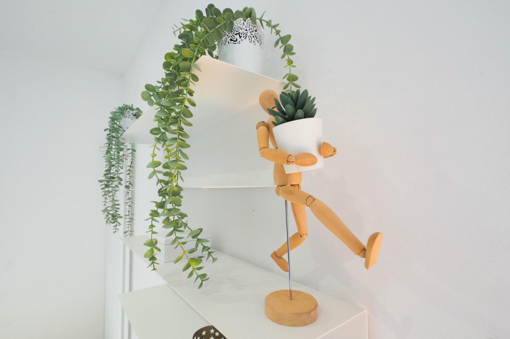 Apartment Primopiano - Andrea Doria *